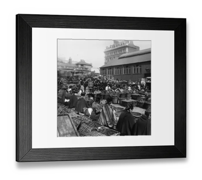 Framed Print : Walnut Shelling Framed Print : Walnut Shelling