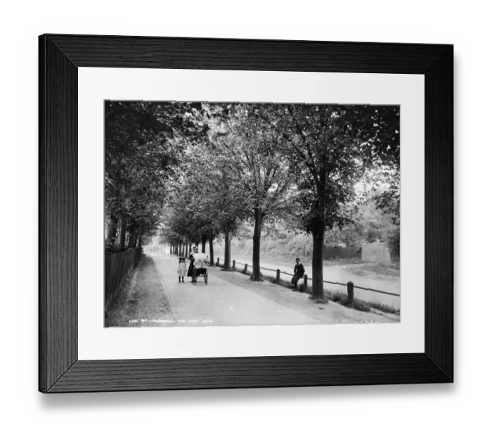 Framed Print : The First Walk Framed Print : The First Walk