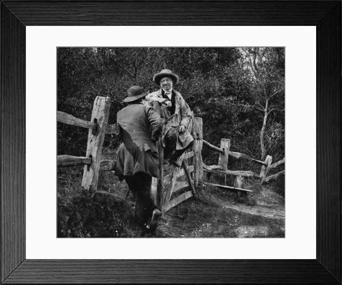 Framed Print : Sitting On Fence Framed Print : Sitting On Fence