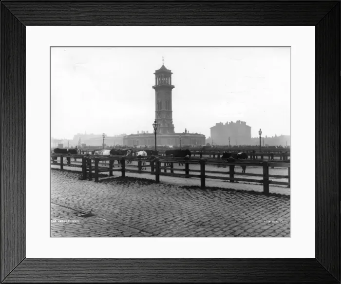 Framed Print : Cattle Market Framed Print : Cattle Market
