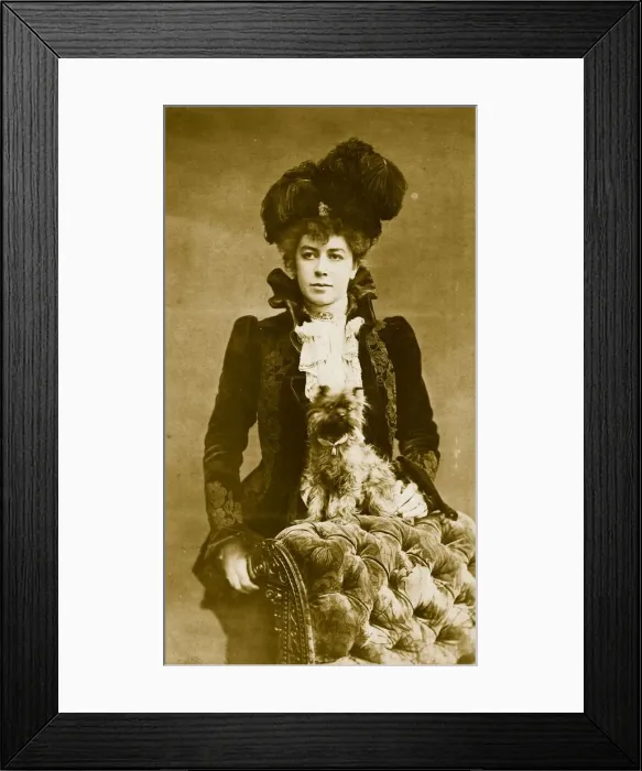Framed Print : Feather Hat Framed Print : Feather Hat