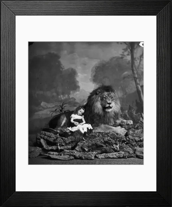 Framed Print : Beauty And The Beast Framed Print : Beauty And The Beast