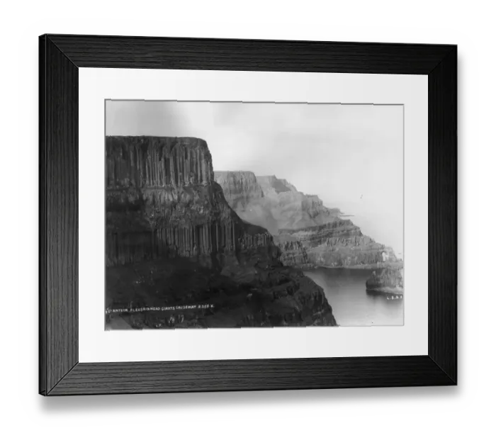 Framed Print : Pleaskin Head