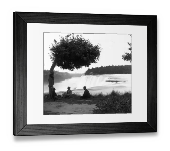 Framed Print : The Sunshade Framed Print : The Sunshade