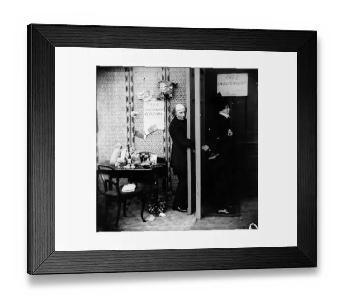 Framed Print : Free Votes ? Framed Print : Free Votes ?
