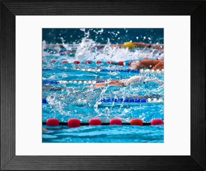 Framed Print : The Race. Swimmers crawling in a swimming pool during a triathlon Framed Print : The Race. Swimmers crawling in a swimming pool during a triathlon