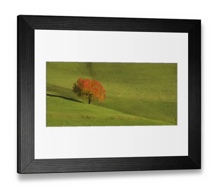 Framed Print : Werner Van Steen Framed Print : Werner Van Steen