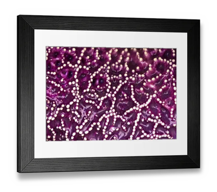 Framed Print : Werner Van Steen Framed Print : Werner Van Steen