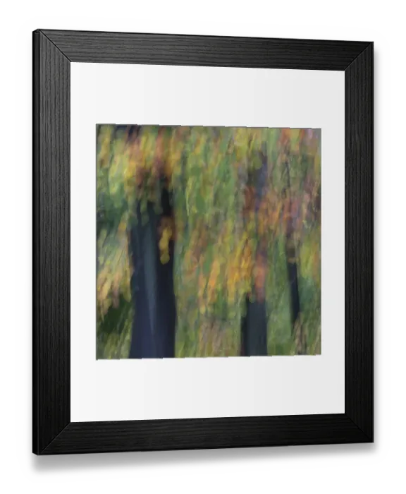 Framed Print : Autumn leaves Framed Print : Autumn leaves
