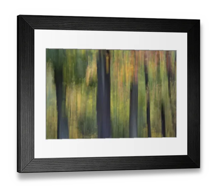 Framed Print : Autumn leaves Framed Print : Autumn leaves
