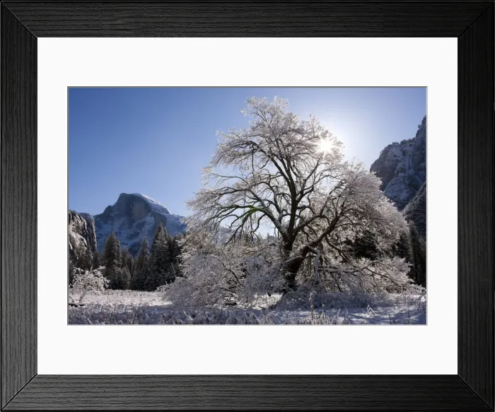 Framed Print : Half Dome, Yosemite National Park Framed Print : Half Dome, Yosemite National Park