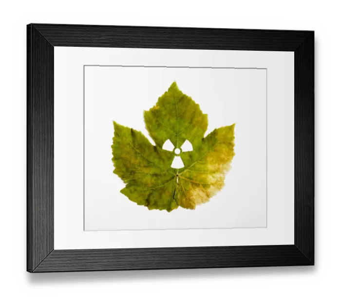 Framed Print : Corrupted nature Framed Print : Corrupted nature