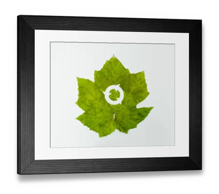 Framed Print : Thriving nature Framed Print : Thriving nature