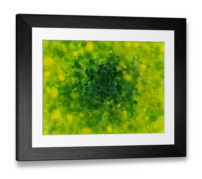 Framed Print : Color Bubbles Framed Print : Color Bubbles