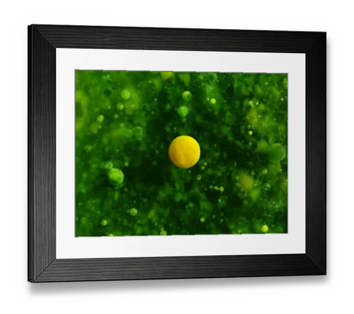 Framed Print : Color Bubbles Framed Print : Color Bubbles