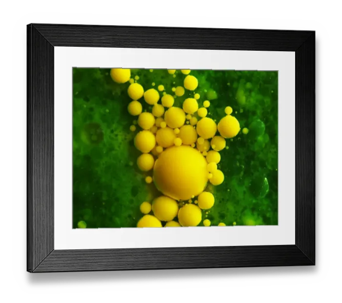 Framed Print : Color Bubbles Framed Print : Color Bubbles