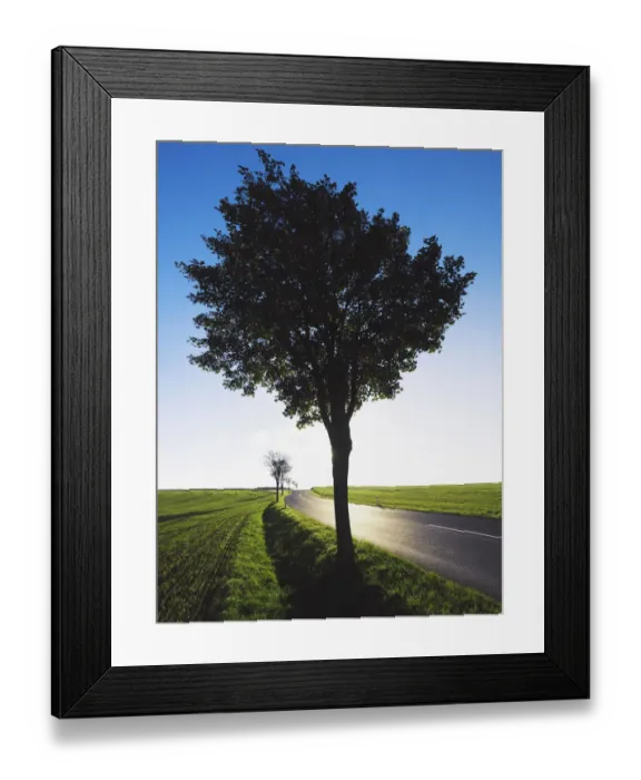 Framed Print : Tree on Rural Road Framed Print : Tree on Rural Road