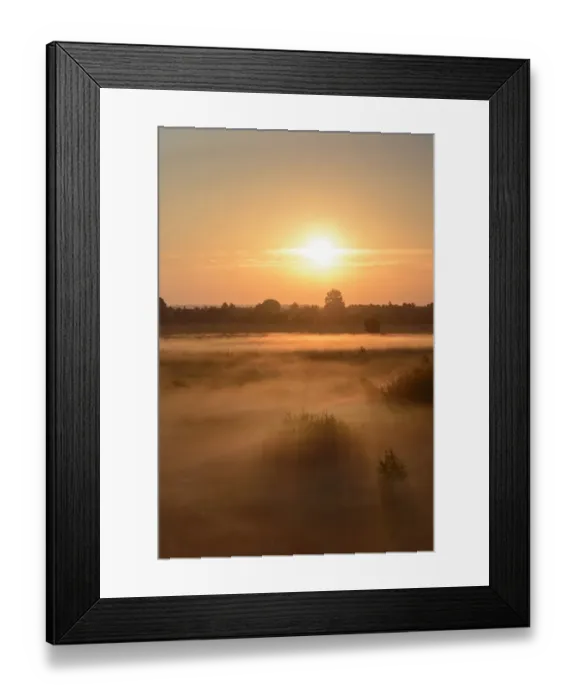 Framed Print : Sunrise in Recker Moor with ground fog, Recke, North Rhine-Westphalia, Germany Framed Print : Sunrise in Recker Moor with ground fog, Recke, North Rhine-Westphalia, Germany