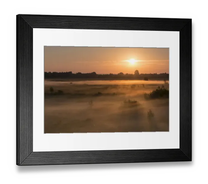 Framed Print : Sunrise in Recker Moor with ground fog, Recke, North Rhine-Westphalia, Germany Framed Print : Sunrise in Recker Moor with ground fog, Recke, North Rhine-Westphalia, Germany