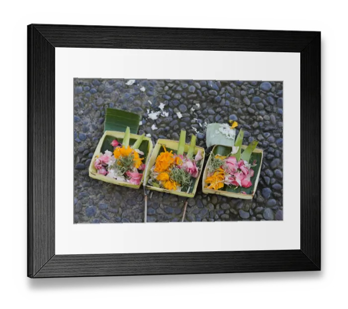 Framed Print : Sacrificial offerings, petals in the street, Ubud, Bali, Indonesia