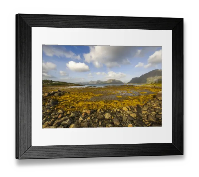 Framed Print : Coastline of Austvagoy or Austvagoya Island, Lofoten, Nordland, Norway Framed Print : Coastline of Austvagoy or Austvagoya Island, Lofoten, Nordland, Norway