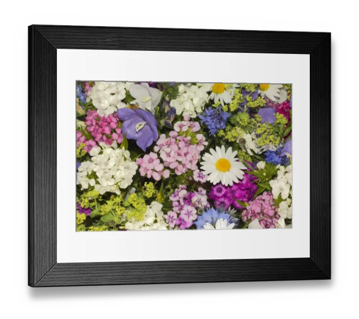 Framed Print : Summer flowers, Tyrol, Austria Framed Print : Summer flowers, Tyrol, Austria