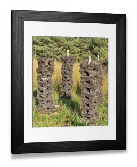 Framed Print : Stacks of peat sods left or drying in the traditional manner, Grundbeckenmoor Rosenheim, near Raubling, Upper Bavaria, Bavaria, Germany