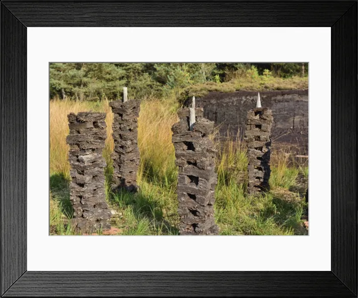 Framed Print : Stacks of peat sods left or drying in the traditional manner, Grundbeckenmoor Rosenheim, near Raubling, Upper Bavaria, Bavaria, Germany Framed Print : Stacks of peat sods left or drying in the traditional manner, Grundbeckenmoor Rosenheim, near Raubling, Upper Bavaria, Bavaria, Germany