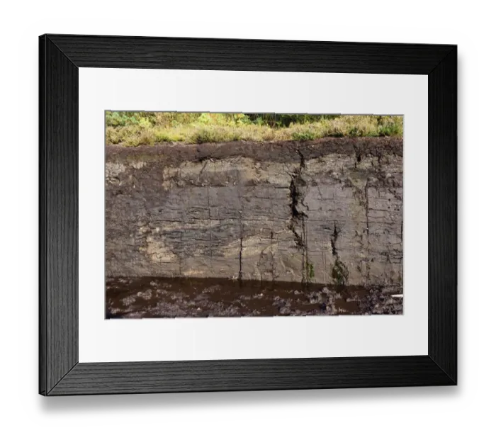 Framed Print : Old peat dig with a large layer of turf, Grundbeckenmoor Rosenheim, near Raubling Upper Bavaria, Bavaria, Germany Framed Print : Old peat dig with a large layer of turf, Grundbeckenmoor Rosenheim, near Raubling Upper Bavaria, Bavaria, Germany