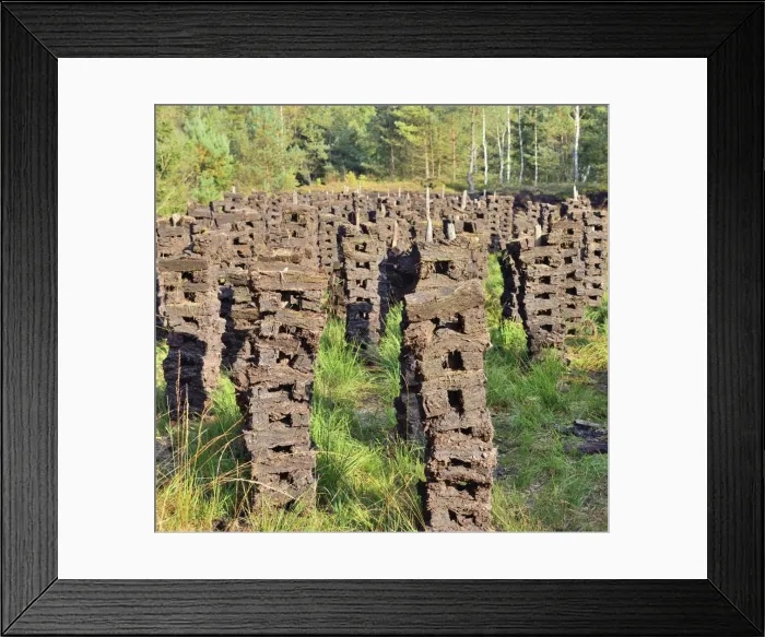 Framed Print : Stacks of peat sods left or drying in the traditional manner, Grundbeckenmoor Rosenheim, near Raubling, Upper Bavaria, Bavaria, Germany Framed Print : Stacks of peat sods left or drying in the traditional manner, Grundbeckenmoor Rosenheim, near Raubling, Upper Bavaria, Bavaria, Germany