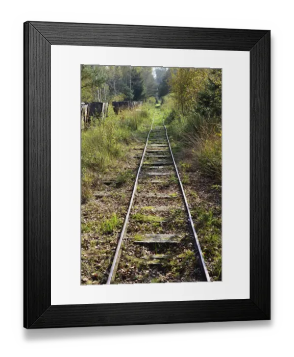 Framed Print : Narrow gauge railway tracks, former peat railway, Nicklheim, Upper Bavaria, Bavaria, Germany Framed Print : Narrow gauge railway tracks, former peat railway, Nicklheim, Upper Bavaria, Bavaria, Germany