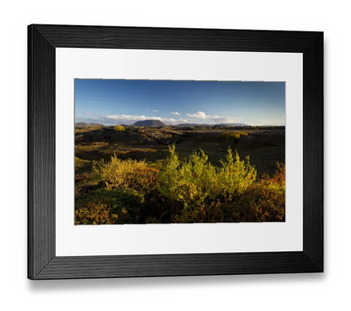 Framed Print : Autumnal foliage, Myvatn area, Northeastern Region, Iceland Framed Print : Autumnal foliage, Myvatn area, Northeastern Region, Iceland