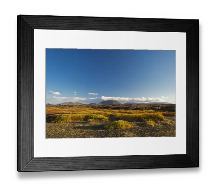 Framed Print : Autumnal foliage, Myvatn area, Northeastern Region, Iceland Framed Print : Autumnal foliage, Myvatn area, Northeastern Region, Iceland