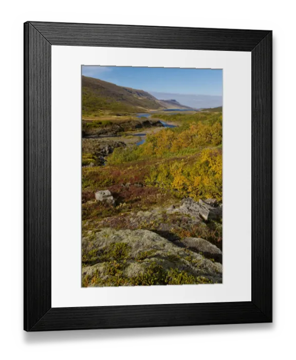 Framed Print : Autumnal foliage, near Lagarfljot Lake, also Logurinn Lake, near Egilsstaoir, Eastern Region, Iceland Framed Print : Autumnal foliage, near Lagarfljot Lake, also Logurinn Lake, near Egilsstaoir, Eastern Region, Iceland