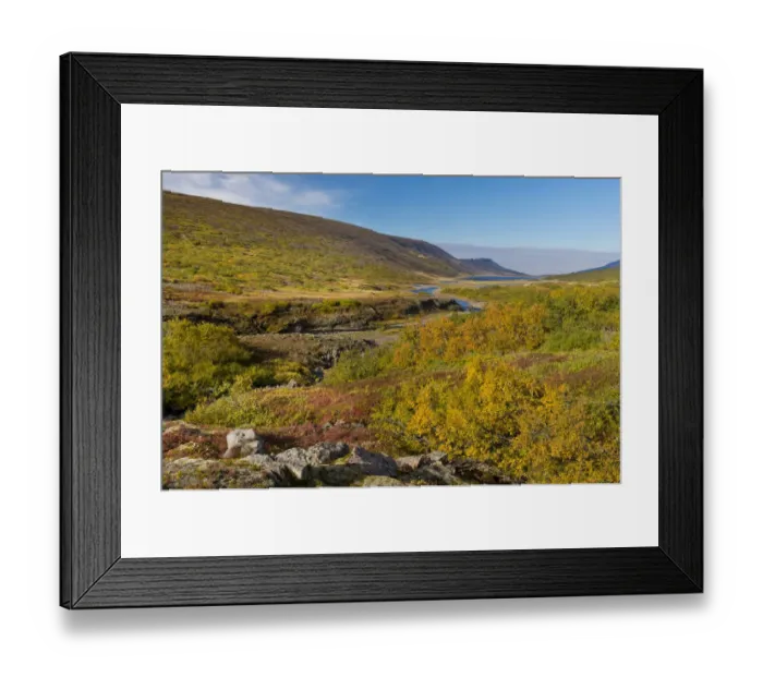 Framed Print : Autumnal foliage, near Lagarfljot Lake, also Logurinn Lake, near Egilsstaoir, Eastern Region, Iceland
