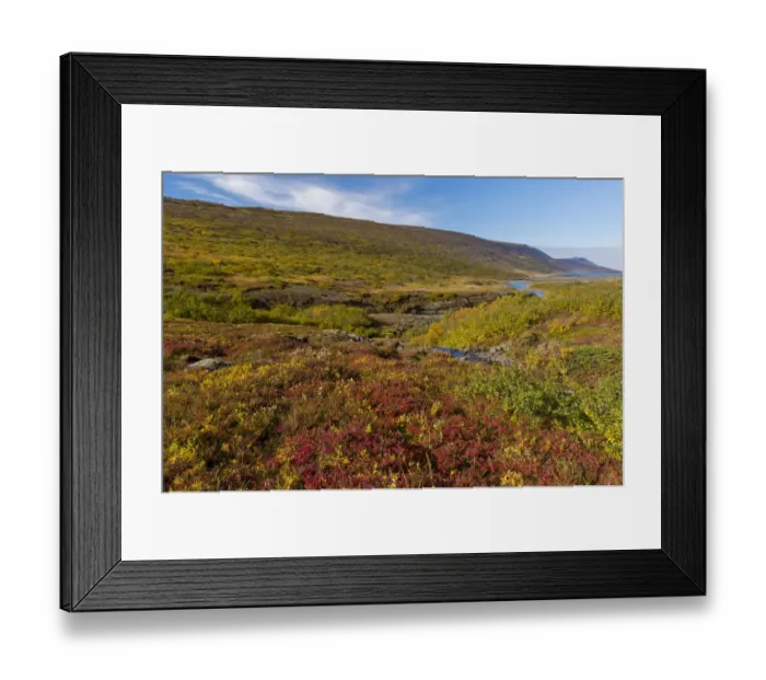 Framed Print : Autumnal foliage, near Lagarfljot Lake, also Logurinn Lake, near Egilsstaoir, Eastern Region, Iceland Framed Print : Autumnal foliage, near Lagarfljot Lake, also Logurinn Lake, near Egilsstaoir, Eastern Region, Iceland