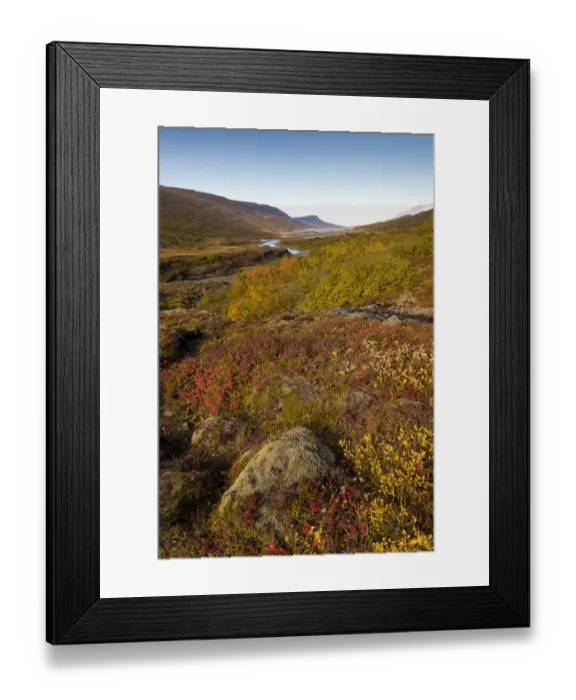 Framed Print : Autumnal foliage, near Lagarfljot Lake, also Logurinn Lake, near Egilsstaoir, Eastern Region, Iceland Framed Print : Autumnal foliage, near Lagarfljot Lake, also Logurinn Lake, near Egilsstaoir, Eastern Region, Iceland