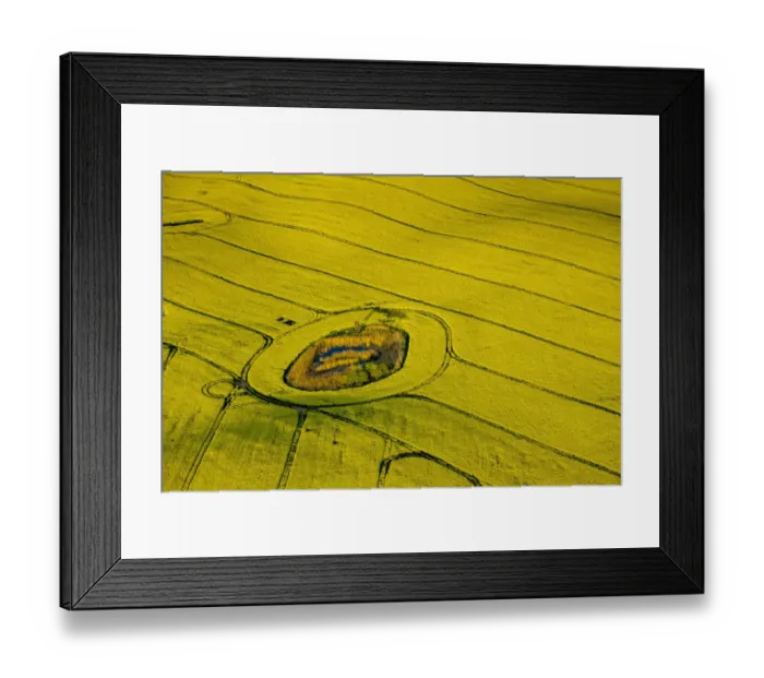 Framed Print : Aerial view, Rape fields between Gohren and Klink on the Muritz lake, Gohren-Lebbin, Mecklenburg-Western Pomerania, Germany