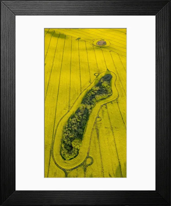 Framed Print : Aerial view, Rape fields between Gohren and Klink on the Muritz lake, Gohren-Lebbin, Mecklenburg-Western Pomerania, Germany