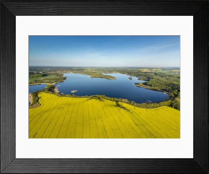 Framed Print : Krakower Seenlandschaft, lakeland nature reserve, with rape fields in full bloom, Kuchelmiss, Mecklenburg Lake District, Mecklenburg-Western Pomerania, Germany Framed Print : Krakower Seenlandschaft, lakeland nature reserve, with rape fields in full bloom, Kuchelmiss, Mecklenburg Lake District, Mecklenburg-Western Pomerania, Germany
