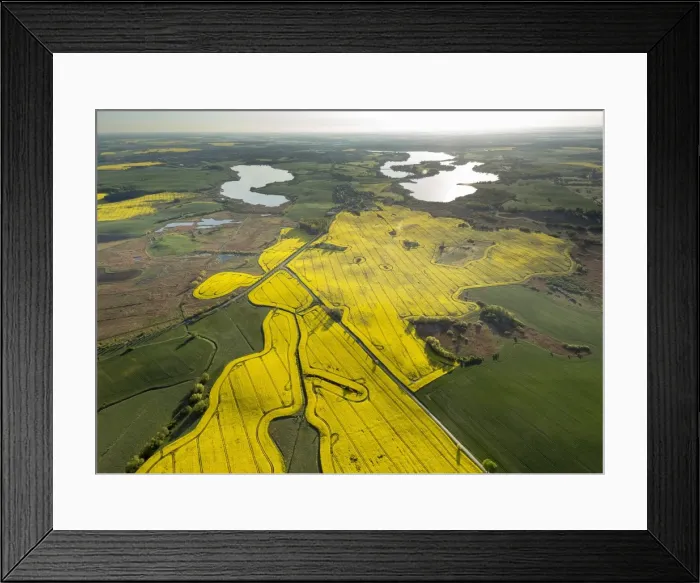 Framed Print : Aerial view, rape fields nar Gustrow, Gutow, Mecklenburg Lake District, Mecklenburg-Western Pomerania, Germany Framed Print : Aerial view, rape fields nar Gustrow, Gutow, Mecklenburg Lake District, Mecklenburg-Western Pomerania, Germany