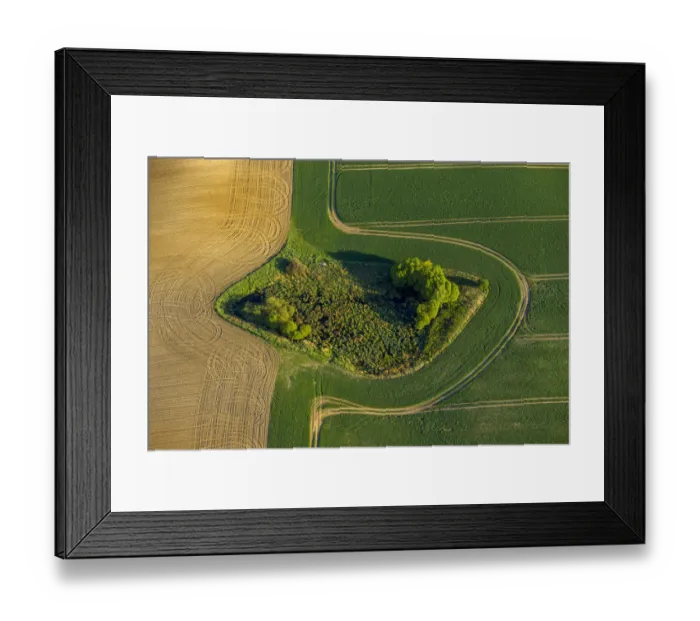 Framed Print : Aerial view, copse, fields, Muhl Rosin, Mecklenburg-Western Pomerania, Germany Framed Print : Aerial view, copse, fields, Muhl Rosin, Mecklenburg-Western Pomerania, Germany