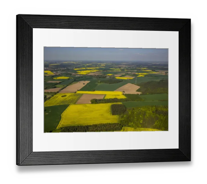 Framed Print : Aerial view, rape fields near Pritzwalk, Brandenburg, Germany Framed Print : Aerial view, rape fields near Pritzwalk, Brandenburg, Germany