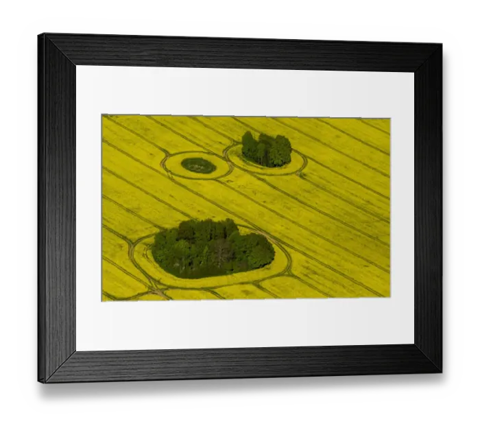 Framed Print : Aerial view, rape fields in full bloom with enclosed groves, Gross Pankow Prignitz, Brandenburg, Germany