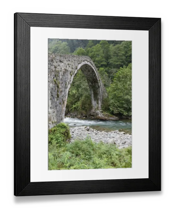 Framed Print : Arch bridge over the river Firtina, Firtina Valley, Rize Province, Pontic Mountains, Black Sea Region, Turkey Framed Print : Arch bridge over the river Firtina, Firtina Valley, Rize Province, Pontic Mountains, Black Sea Region, Turkey