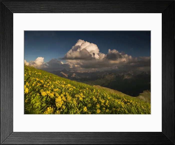 Framed Print : Clouds above the Allgau Alps with flower meadow, Oberstdorf, Bavaria, Germany Framed Print : Clouds above the Allgau Alps with flower meadow, Oberstdorf, Bavaria, Germany