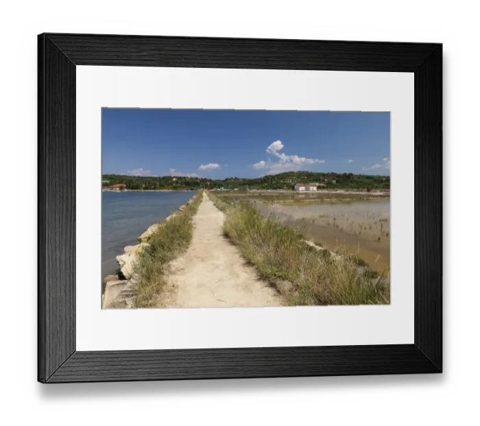 Framed Print : Walk through the salt works in the nature reserve of Strunjan, Adriatic Coast, Istria, Slovenia Framed Print : Walk through the salt works in the nature reserve of Strunjan, Adriatic Coast, Istria, Slovenia