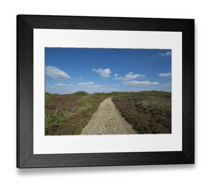 Framed Print : Path through heathland with typical sea clouds, Kaergard Klitplantage, Oksbol, Region of Southern Denmark, Denmark