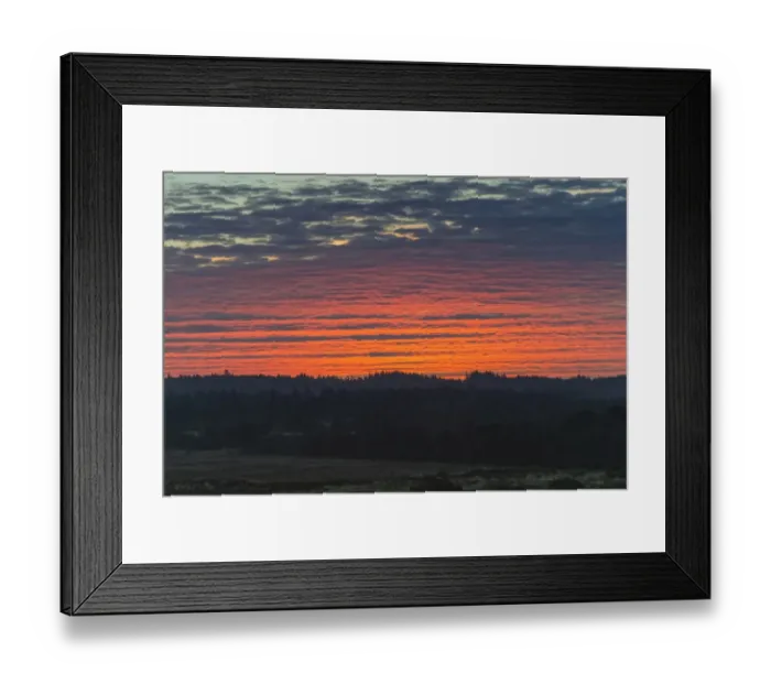 Framed Print : Red sky at dawn, over sand dunes and heathland, Henne, Region of Southern Denmark, Denmark