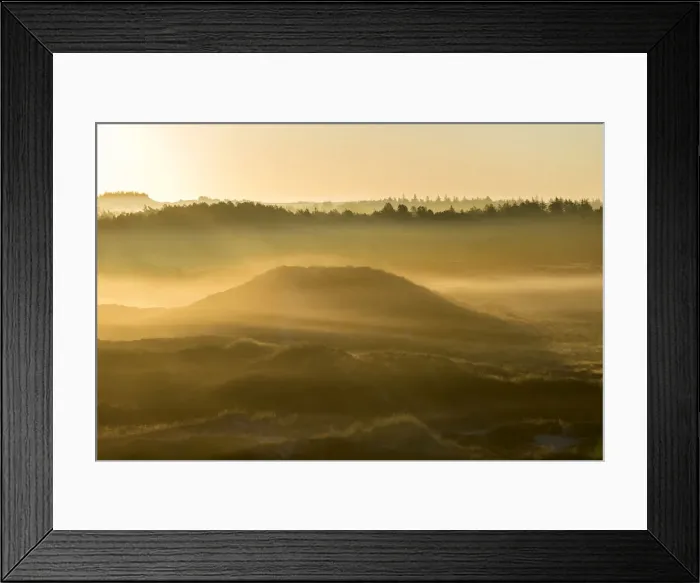 Framed Print : Fog over dunes and heathland at sunrise, Henne, Region of Southern Denmark, Denmark Framed Print : Fog over dunes and heathland at sunrise, Henne, Region of Southern Denmark, Denmark